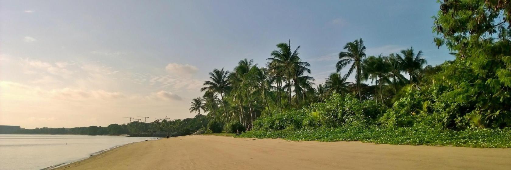 Pasir Ris Park Playground